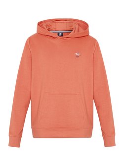 Herren Kapuzenpullover