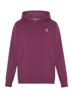 Herren Kapuzenpullover