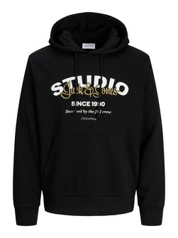 Herren Kapuzenpullover