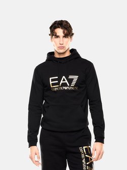 Herren Kapuzenpullover