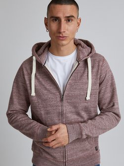 Herren Kapuzensweatjacke - BHAlton