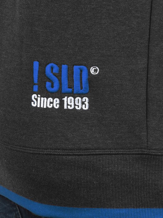 Herren Kapuzensweatjacke - SDBenjaminZip