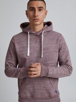 Herren Kapuzensweatshirt - BHAlton