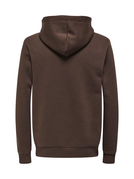 Herren Kapuzensweatshirt