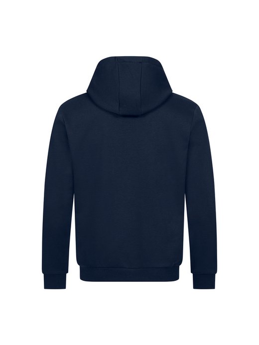 Herren Kapuzensweatshirt