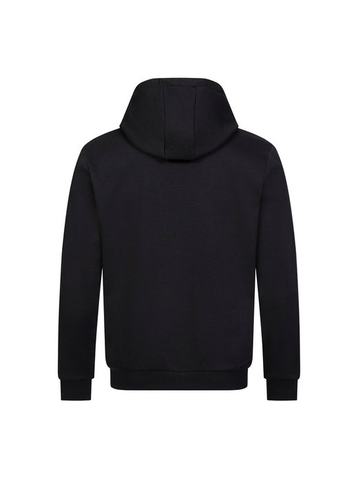 Herren Kapuzensweatshirt