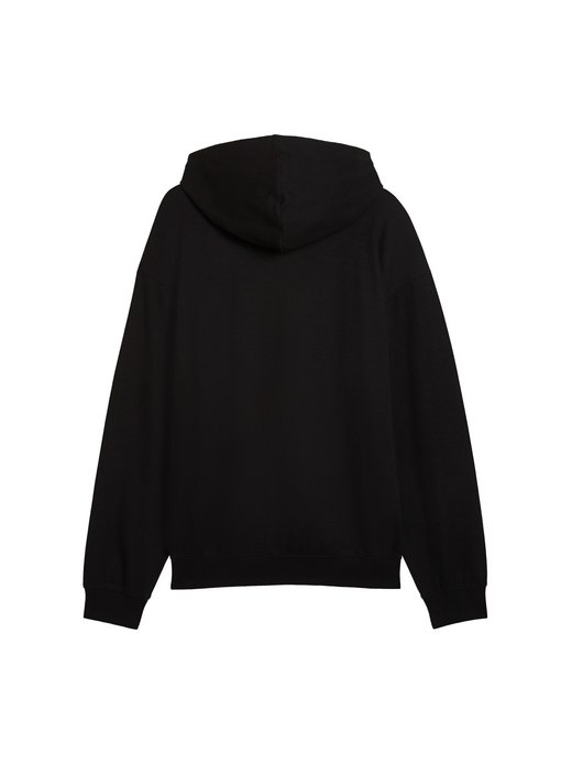 Herren Kapuzensweatshirt