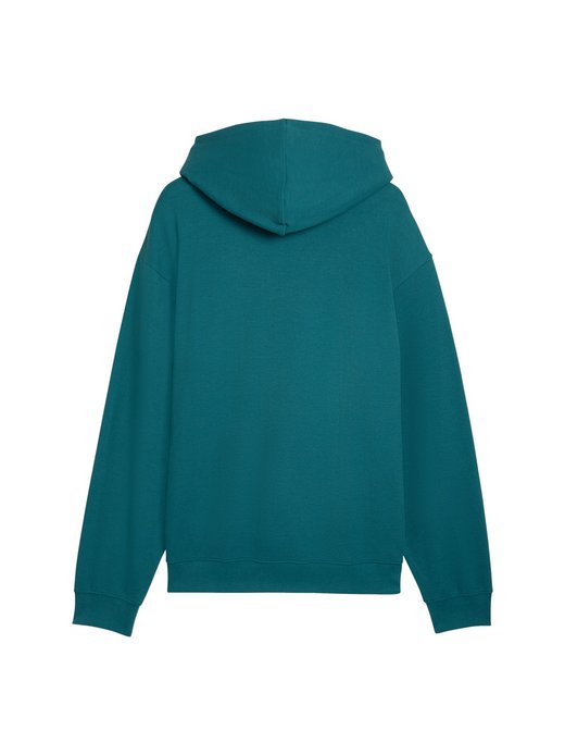 Herren Kapuzensweatshirt