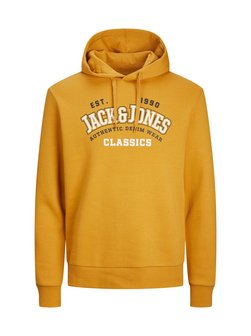 Herren Kapuzensweatshirt