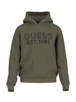 Artikelbild Herren Kapuzensweatshirt von GUESS in grün bedruckt
