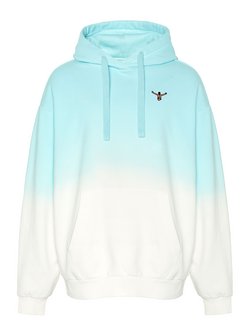 Herren Kapuzensweatshirt