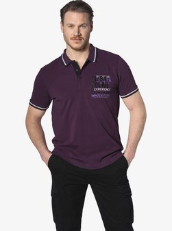Artikelbild Herren Poloshirt - FRETU von Jan Vanderstorm in aubergine uni