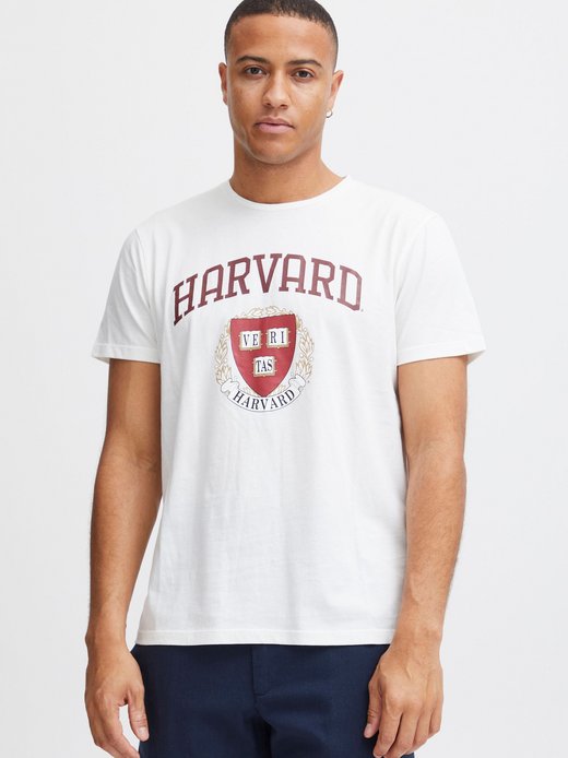 Herren Print-Shirt BHTee