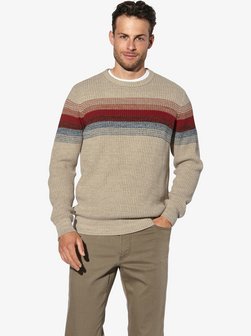 Herren Pullover - ALVARIO