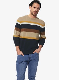 Herren Pullover - CALDEN