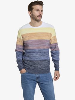 Herren Pullover - CARIENO
