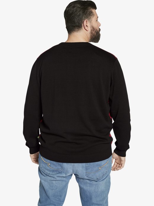 Herren Pullover - EARL ALAN