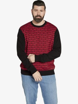 Herren Pullover - EARL ALAN