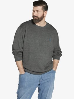 Artikelbild Herren Pullover - EARL ARCHIE von Charles Colby in grau uni