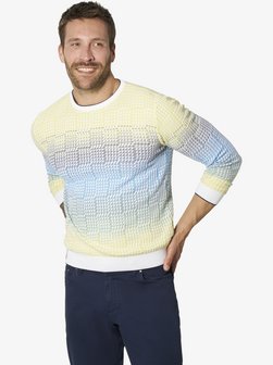 Herren Pullover - NICOLDO