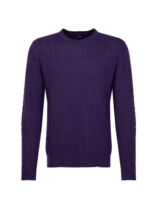 Herren Pullover - Regular Fit