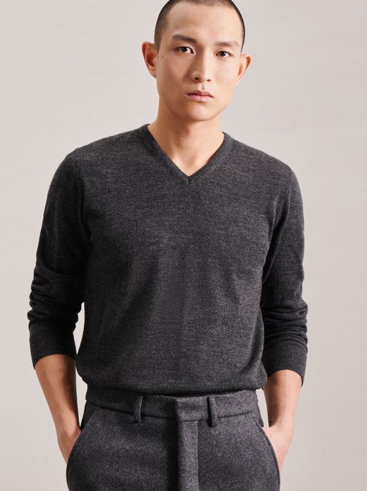 Herren Pullover - Regular Fit