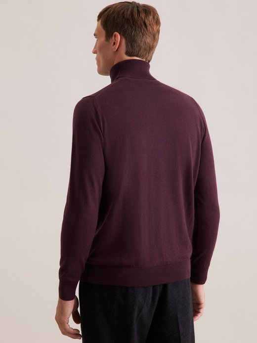 Herren Pullover - Regular Fit