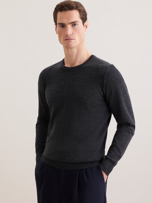 Herren Pullover - Regular Fit