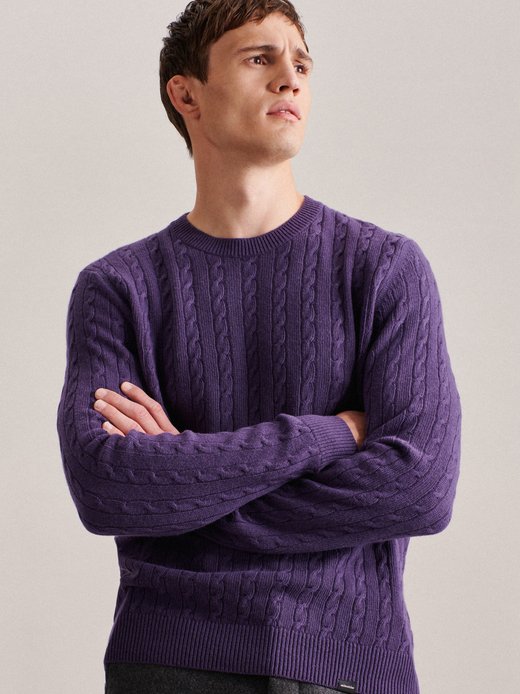Herren Pullover - Regular Fit