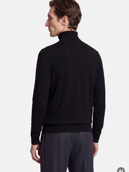 Herren Pullover - Regular Fit
