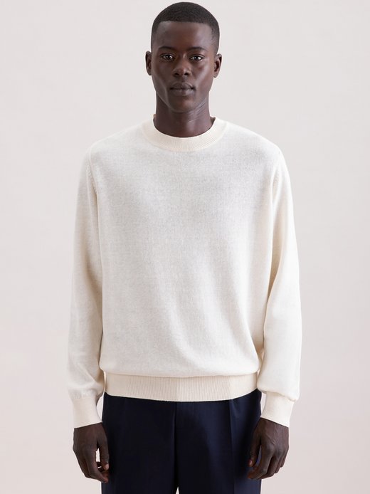 Herren Pullover - Regular Fit