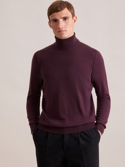 Herren Pullover - Regular Fit