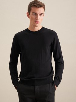 Herren Pullover - Regular Fit