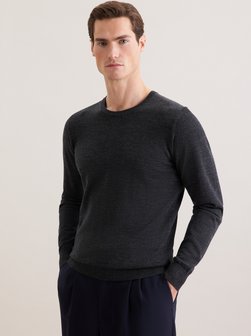 Herren Pullover - Regular Fit
