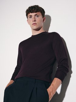 Herren Pullover - Regular Fit