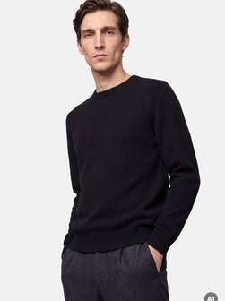 Herren Pullover - Regular Fit