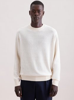 Herren Pullover - Regular Fit