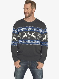 Herren Pullover - TORE