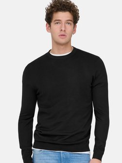 Herren Pullover - Wyler