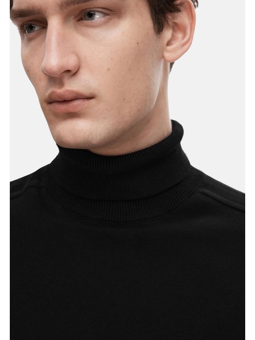 Herren Pullover