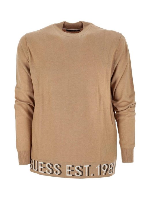 Herren Pullover