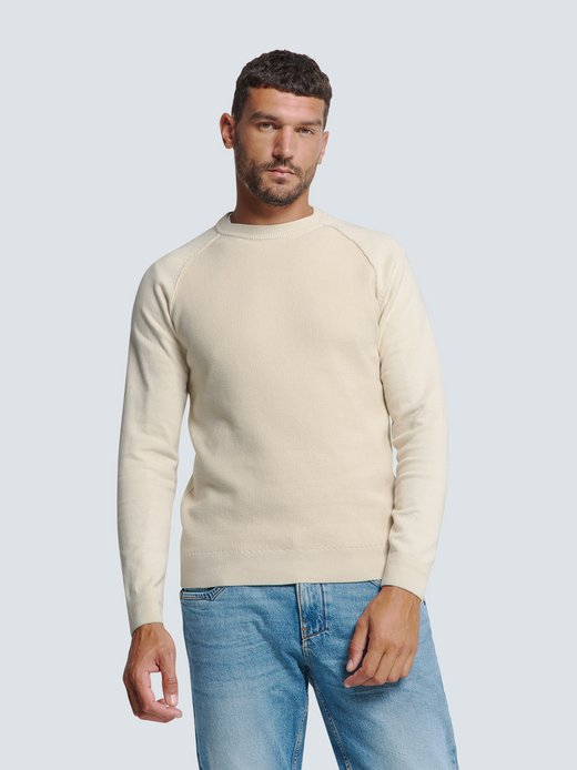 Herren Pullover