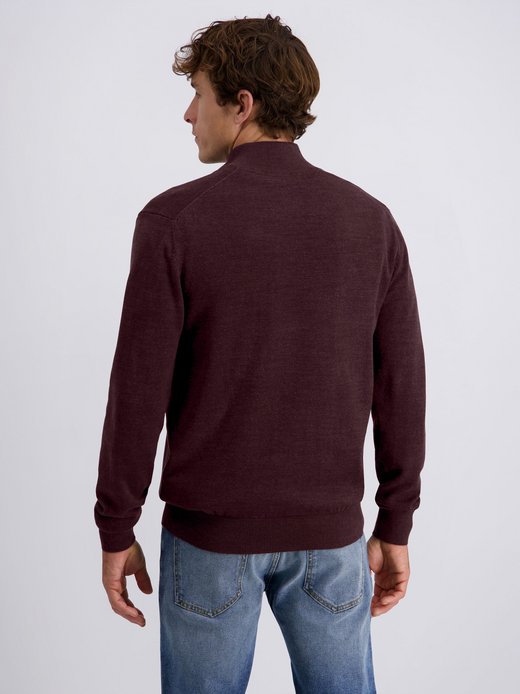 Herren Pullover