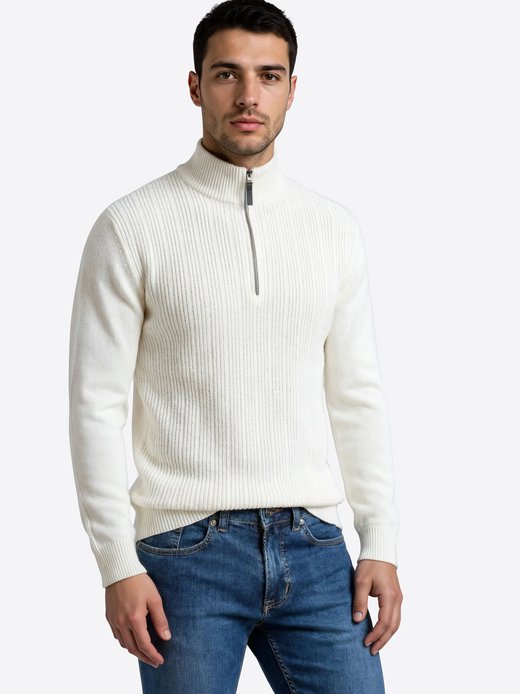 Herren Pullover