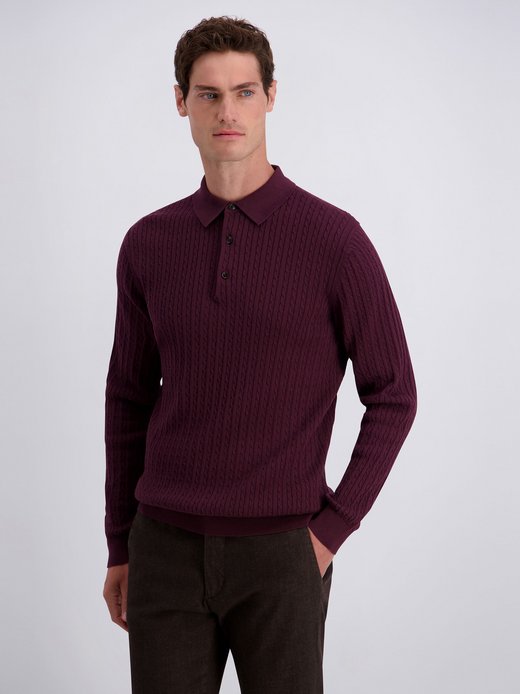 Herren Pullover