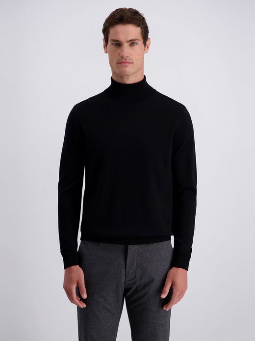 Herren Pullover