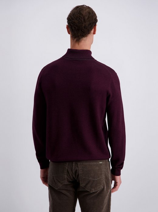 Herren Pullover