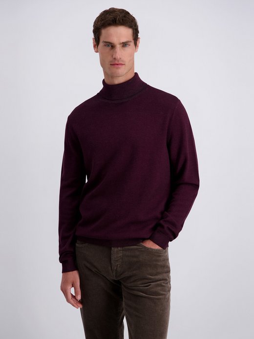 Herren Pullover