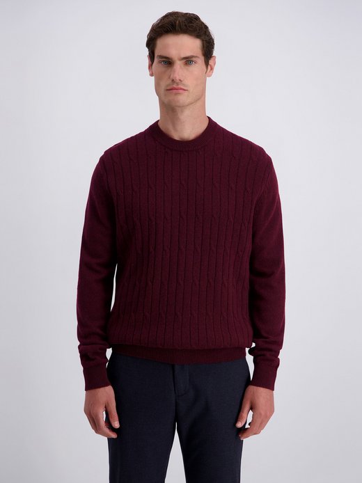 Herren Pullover