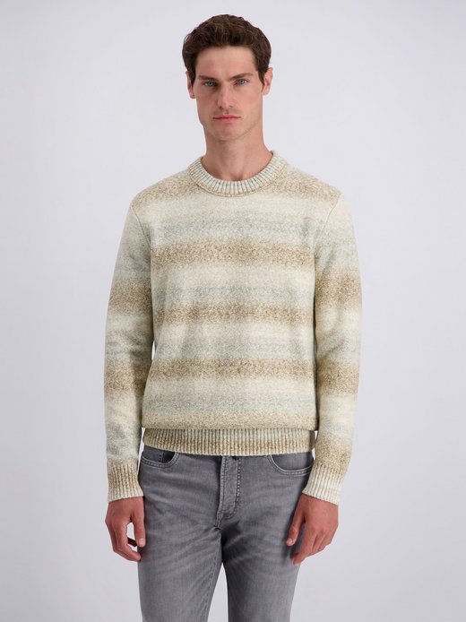 Herren Pullover